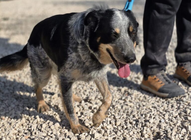 multimedia-foto93221-215-1