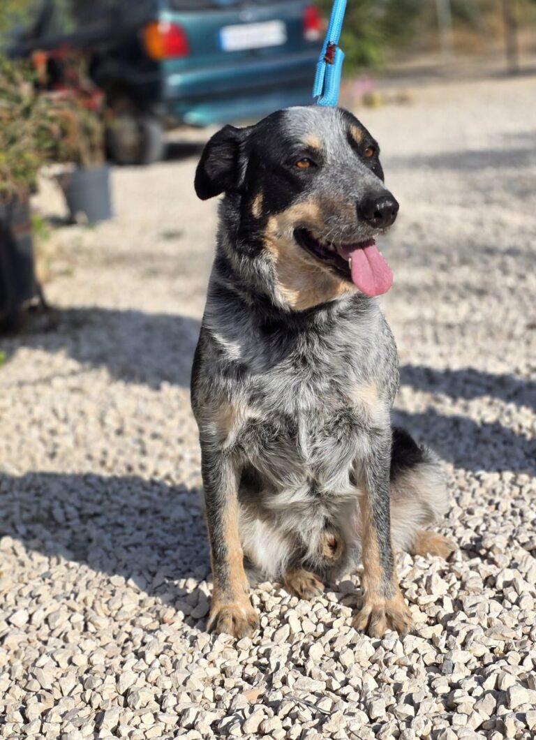 multimedia-foto93222-215-1