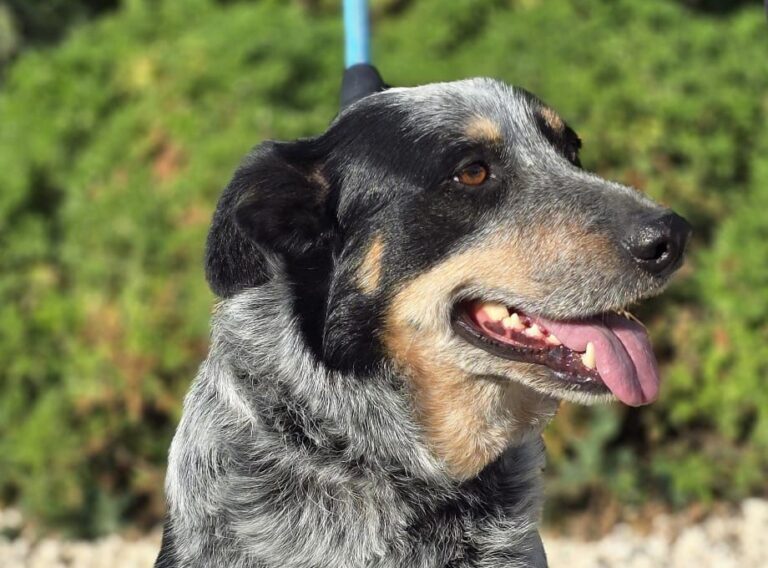 multimedia-foto93223-216-1