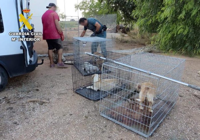 multimedia-foto93224-809-1