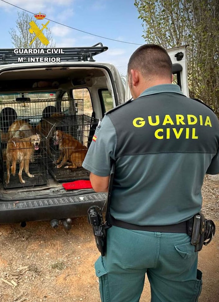 multimedia-foto93225-809-1