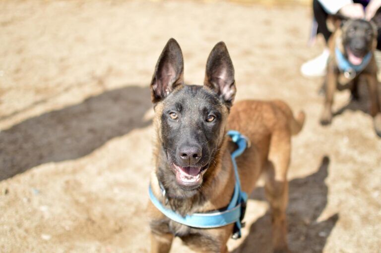 multimedia-foto93243-431-1