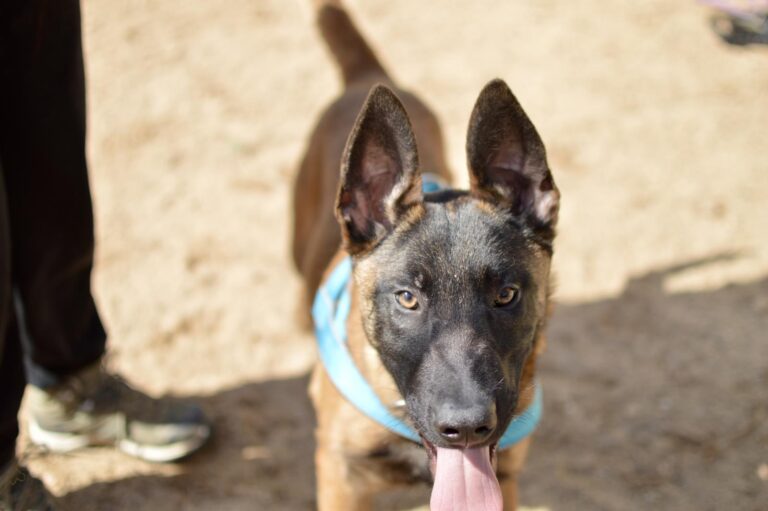 multimedia-foto93244-431-1