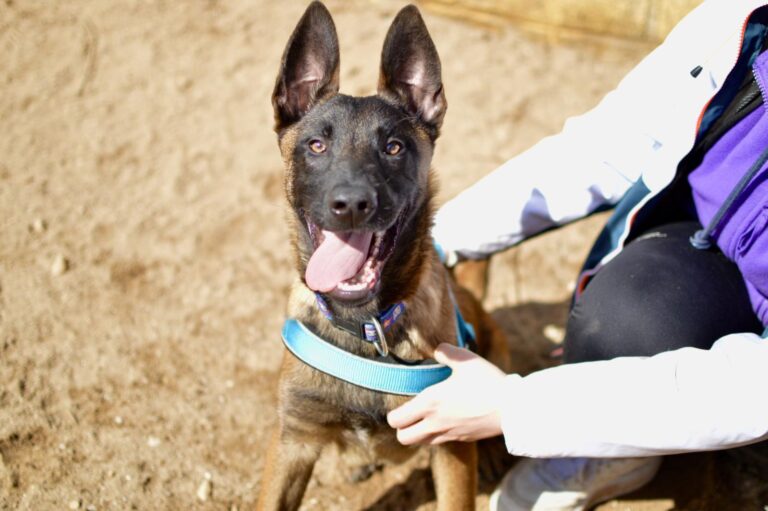 multimedia-foto93245-431-1