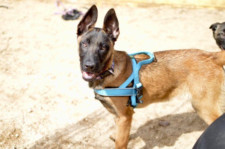 multimedia-foto93246-431-1