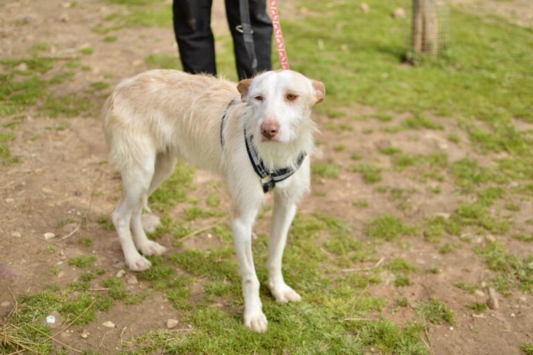 multimedia-foto93247-656-1