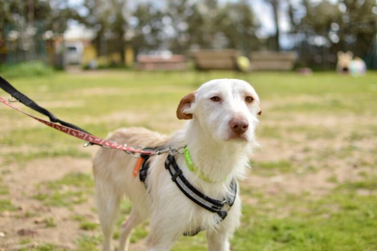 multimedia-foto93248-656-1