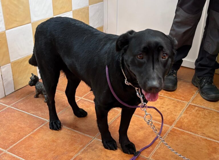 multimedia-foto93278-46-1