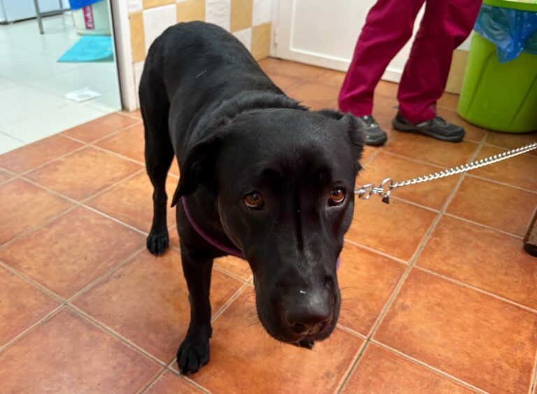 multimedia-foto93279-46-1