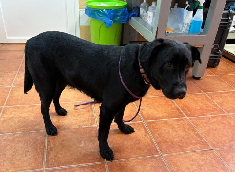 multimedia-foto93280-47-1