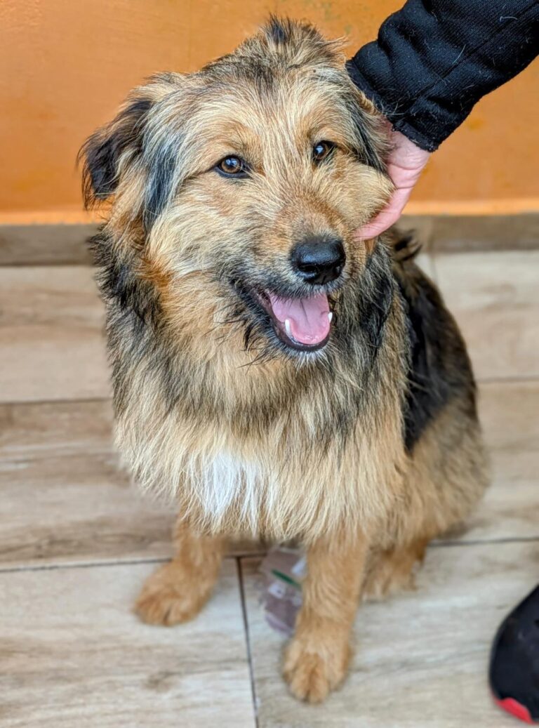 multimedia-foto93289-339-1