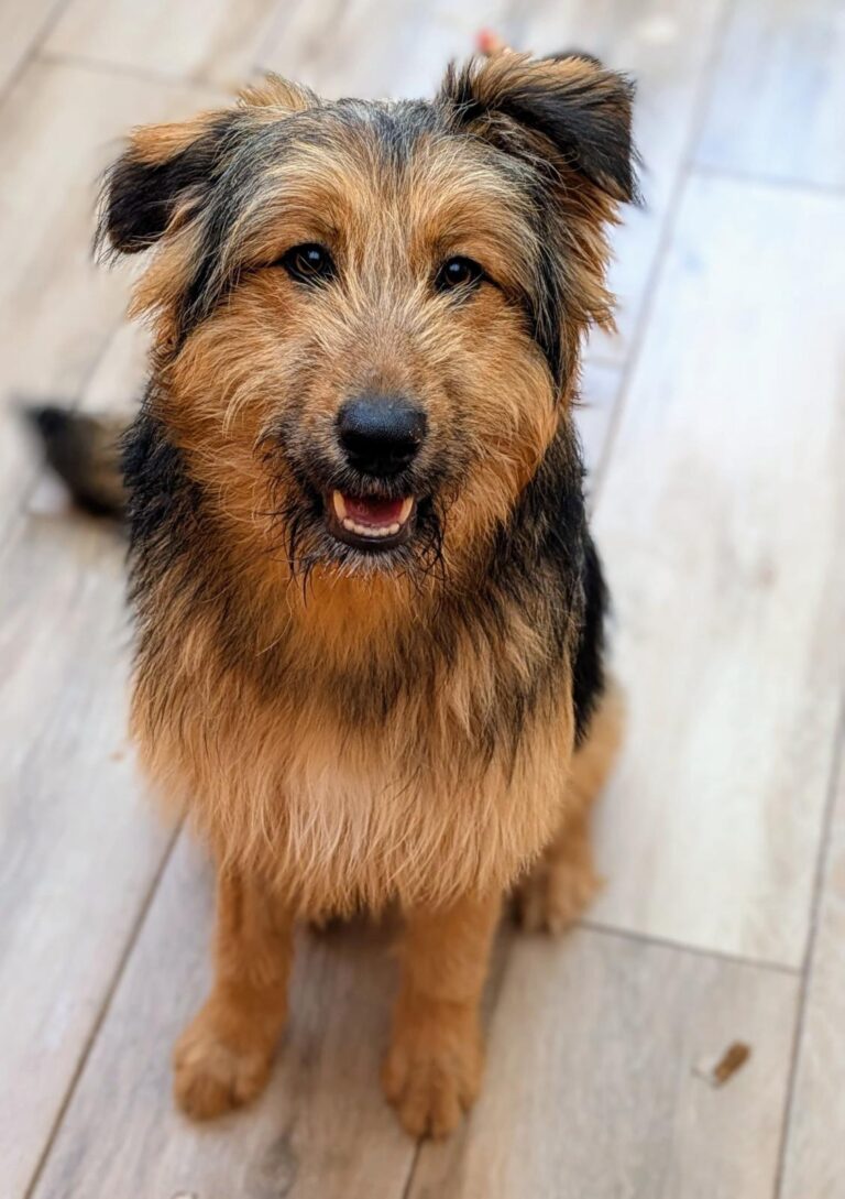 multimedia-foto93291-339-1