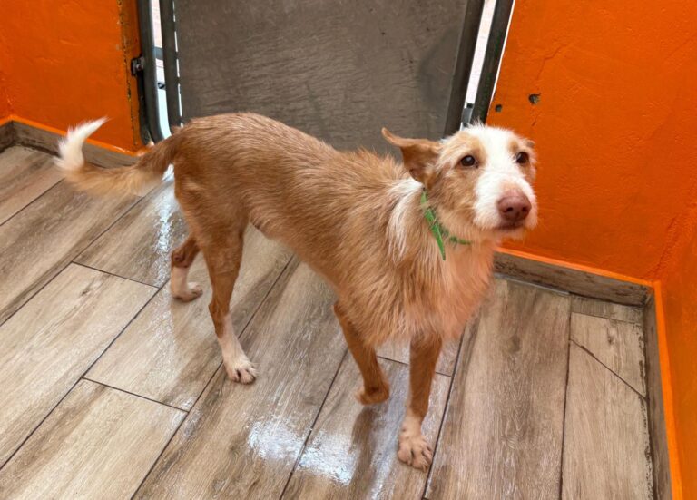 multimedia-foto93295-235-1