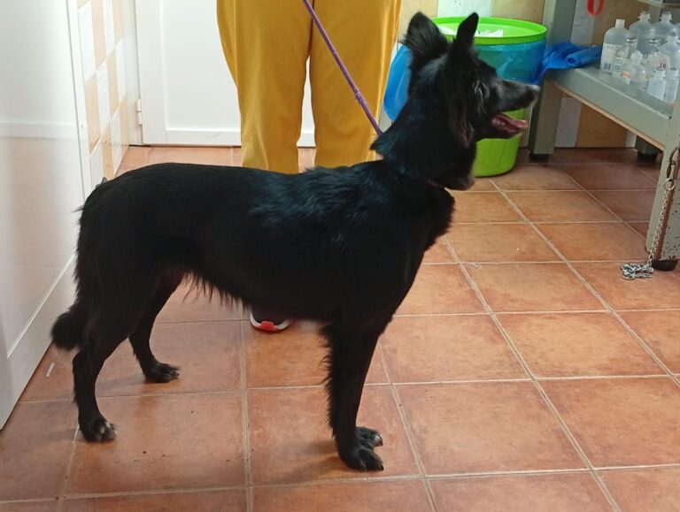 multimedia-foto93318-876-1