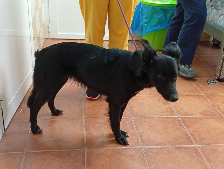 multimedia-foto93319-876-1