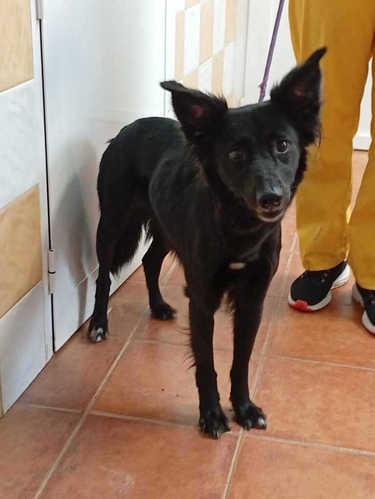 multimedia-foto93320-876-1