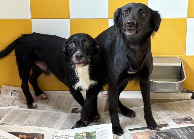 multimedia-foto93322-877-1