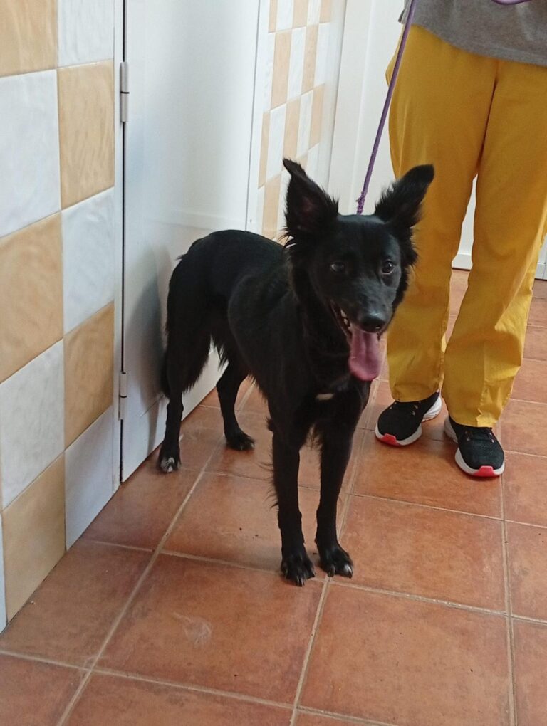 multimedia-foto93323-877-1