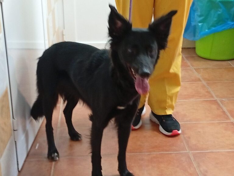 multimedia-foto93324-877-1