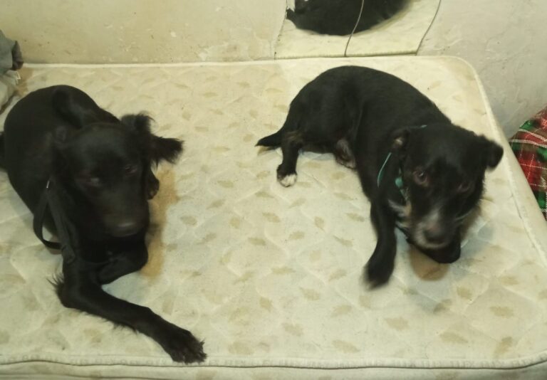 multimedia-foto93325-972-1