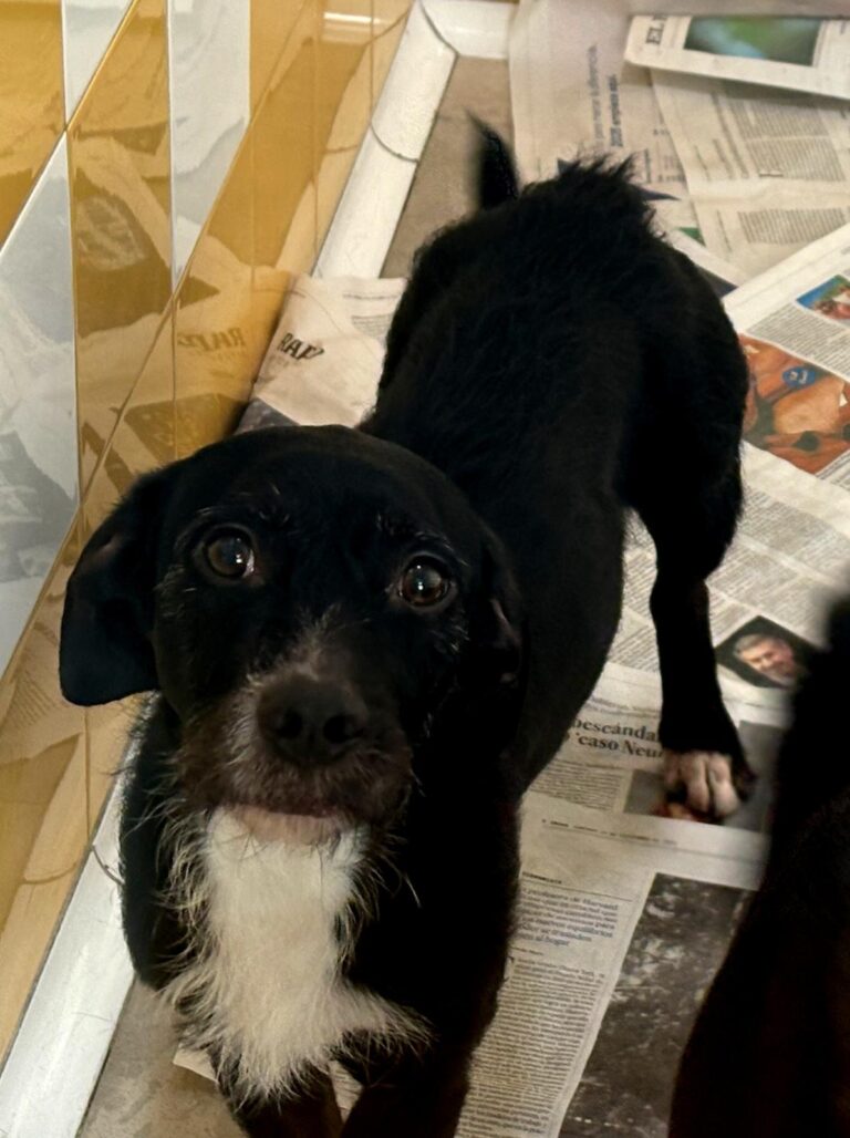 multimedia-foto93326-973-1