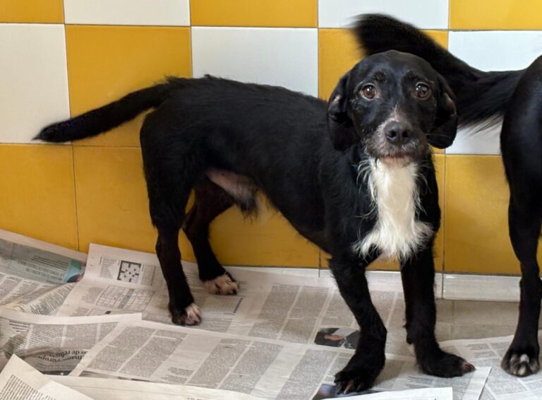 multimedia-foto93327-973-1