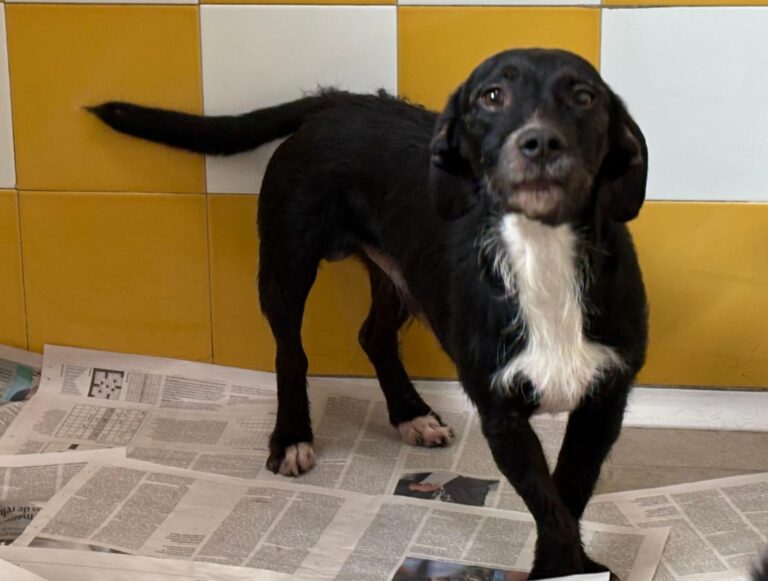 multimedia-foto93328-973-1