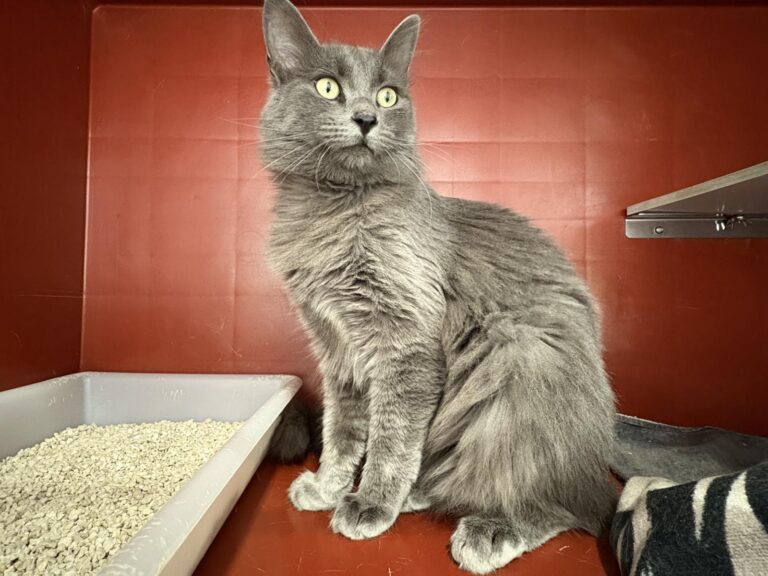 multimedia-foto93350-543-1