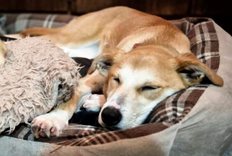 multimedia-foto93388-760-1