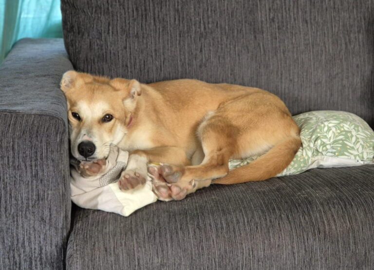 multimedia-foto93389-760-1