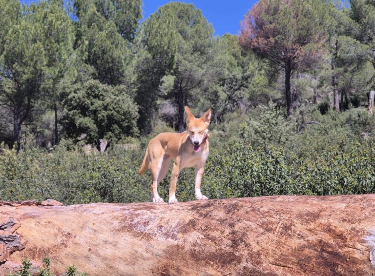 multimedia-foto93390-760-1