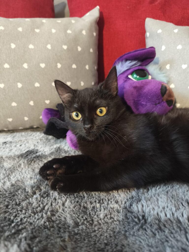 multimedia-foto93400-183-1