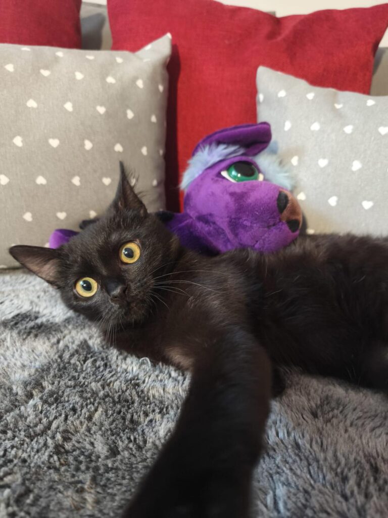 multimedia-foto93401-184-1