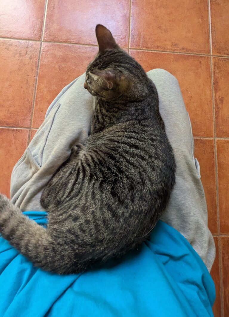 multimedia-foto93409-508-1