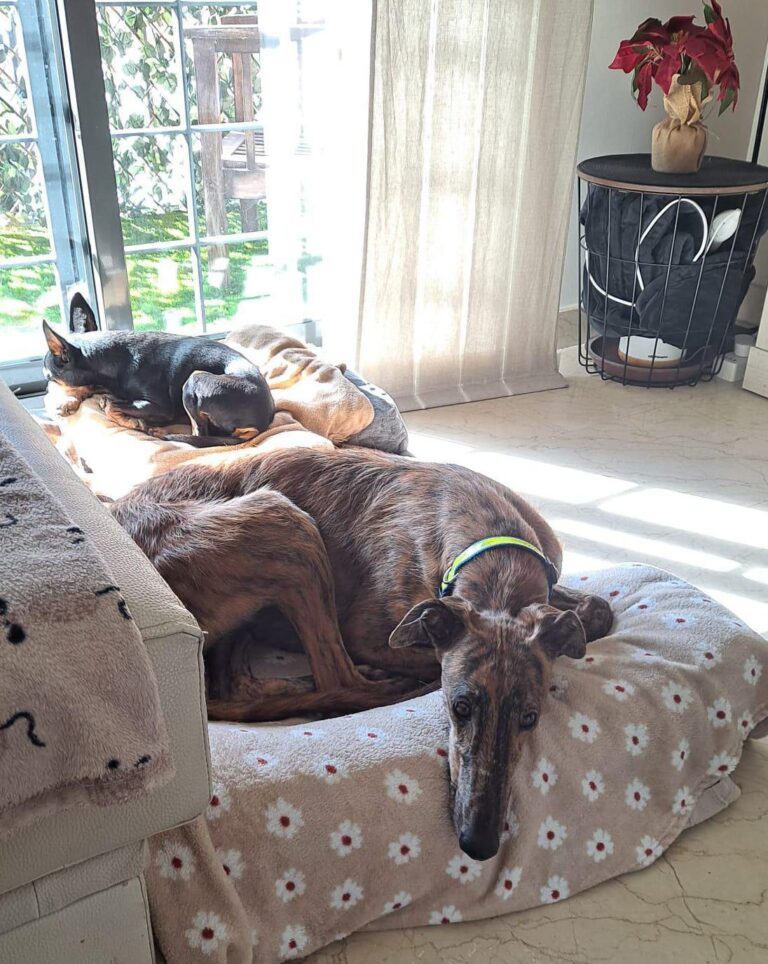 multimedia-foto93421-5-1