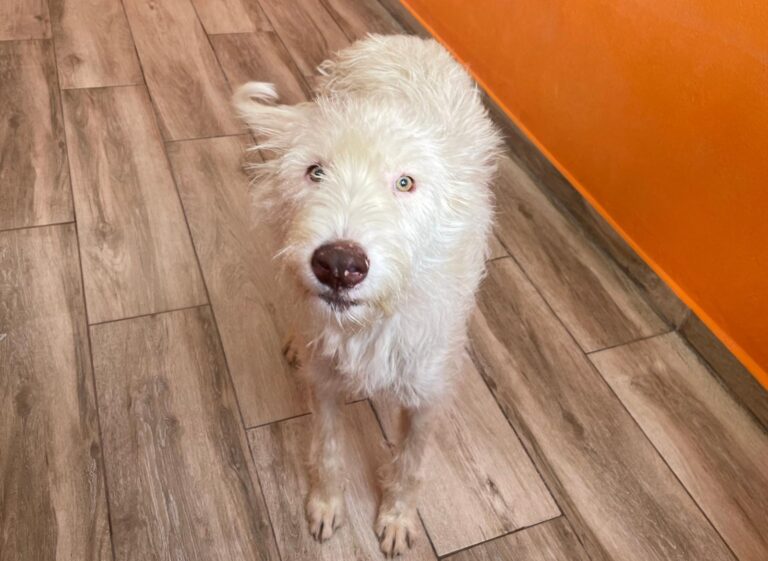 multimedia-foto93422-89-1