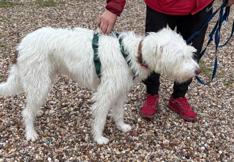 multimedia-foto93432-94-1