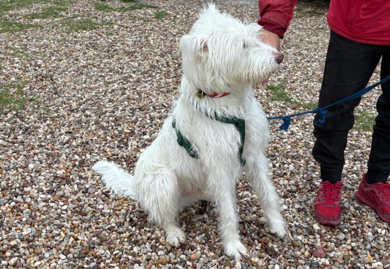 multimedia-foto93433-94-1