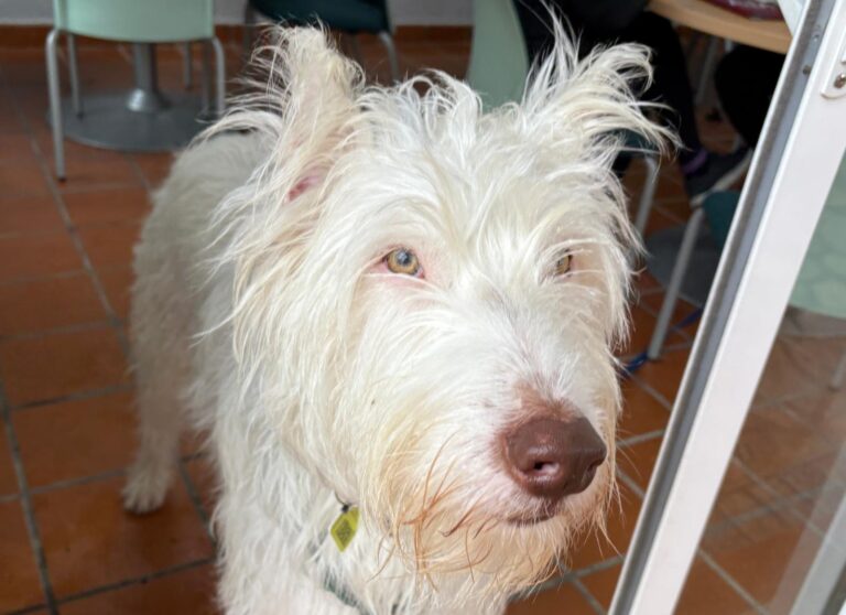 multimedia-foto93434-94-1