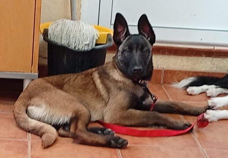 multimedia-foto93437-243-1