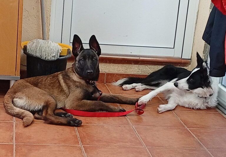 multimedia-foto93438-243-1