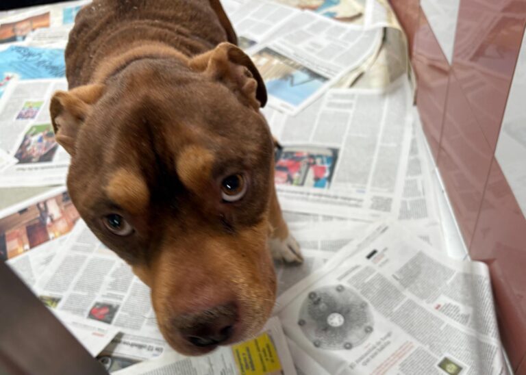 multimedia-foto93447-400-1