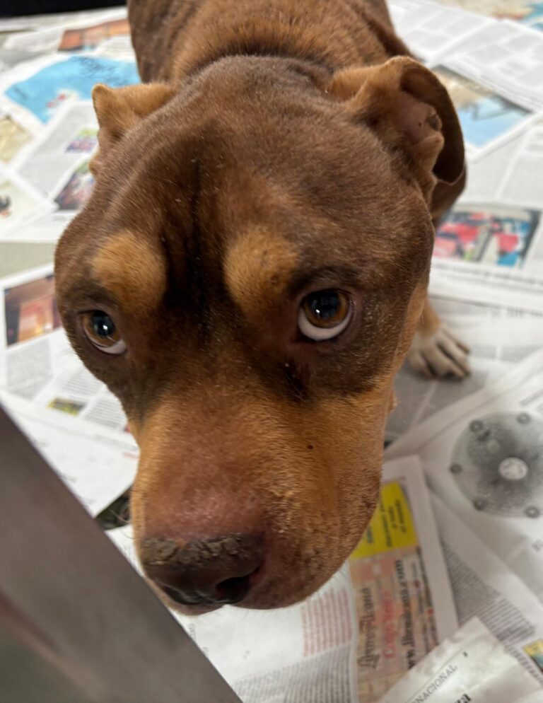 multimedia-foto93448-400-1