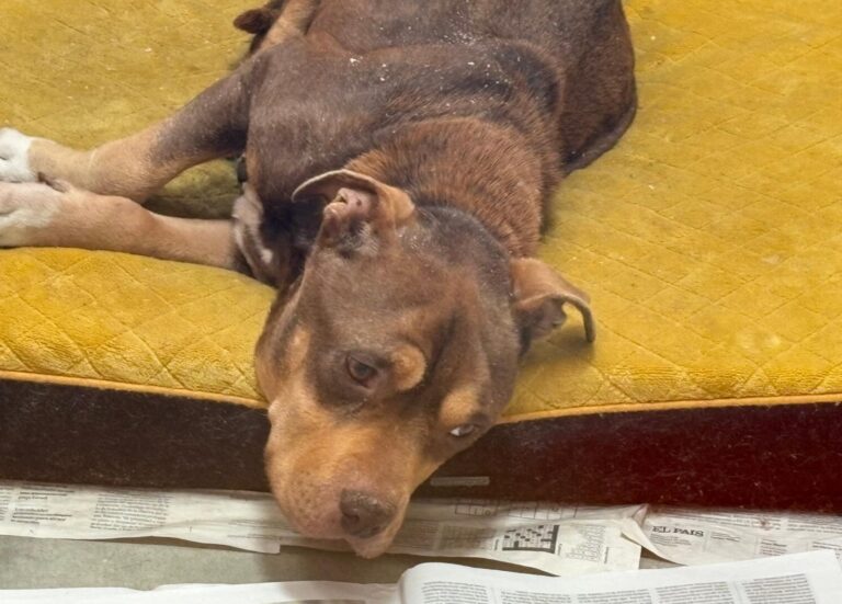 multimedia-foto93450-400-1