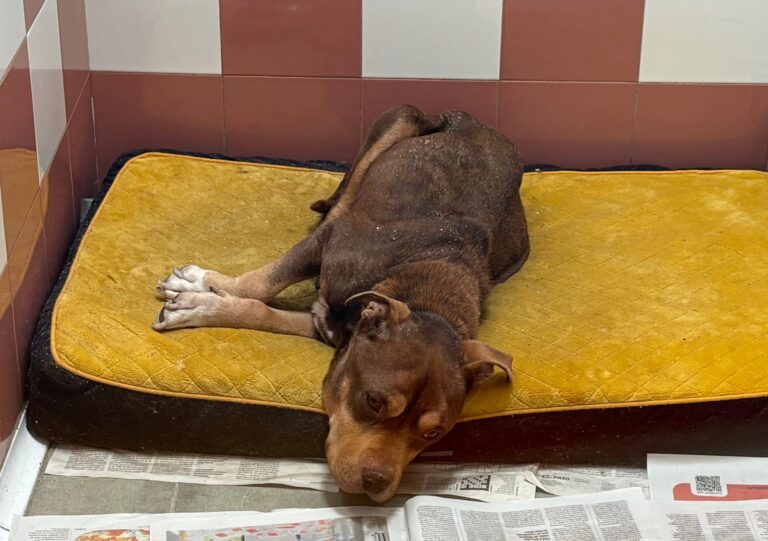 multimedia-foto93451-400-1