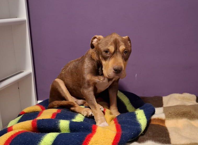 multimedia-foto93452-401-1