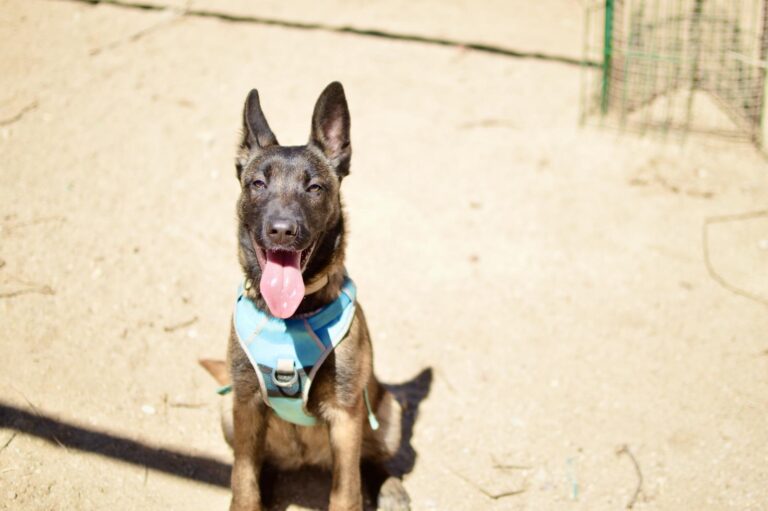 multimedia-foto93453-675-1