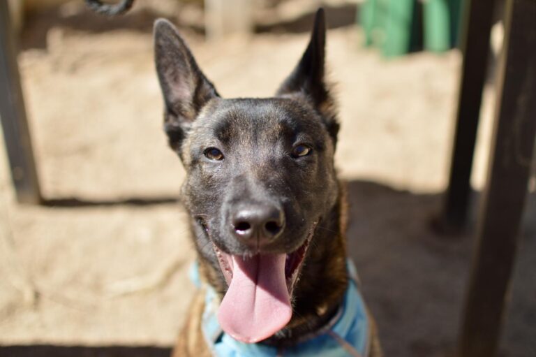 multimedia-foto93454-676-1