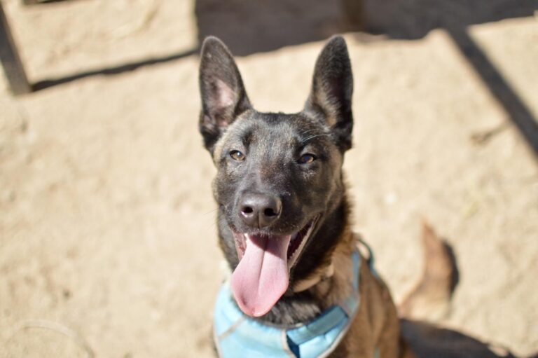 multimedia-foto93455-676-1