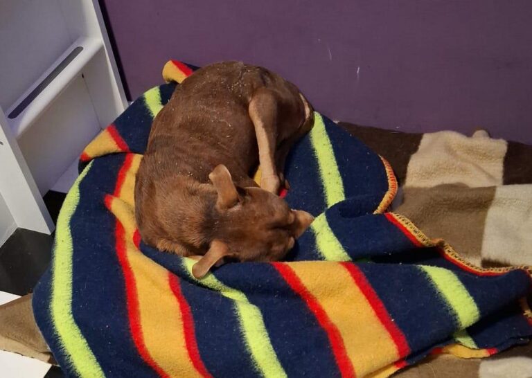 multimedia-foto93457-27-1